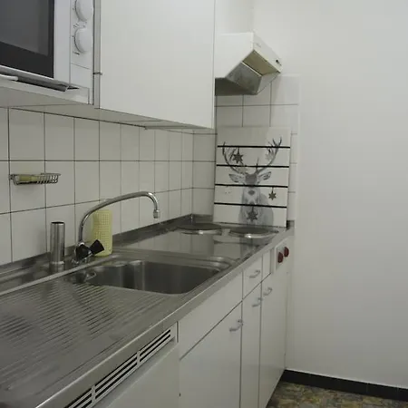 Apartment Studio Viscaria