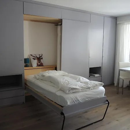 Apartment Studio Viscaria Zermatt