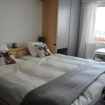 Apartment Studio Viscaria *