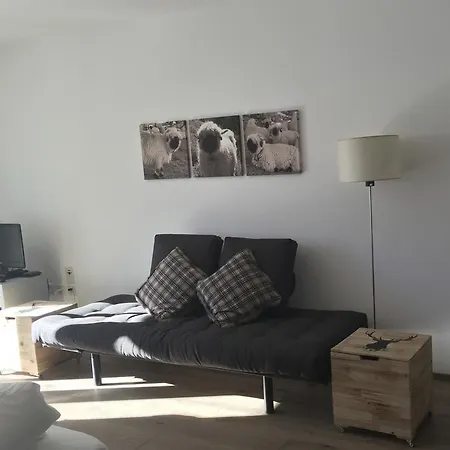 Apartment Studio Viscaria